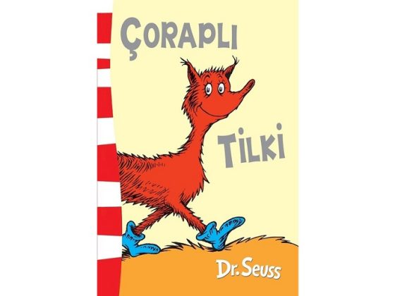 Meraklı Minikler için Okul Öncesi Kitap Önerileri